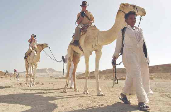 поездка на верблюдах Шарм эль Шейх
